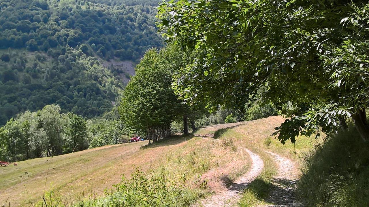 Hotel Dell' Olmo Ormea Buitenkant foto